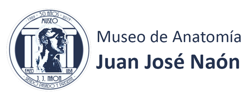 Asociación Argentina de Anatomia
